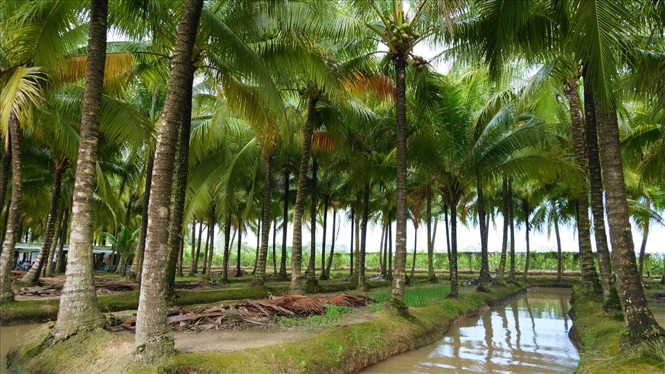 Hoàng Ngọc Nguyên, BÀI HÁT 70 NĂM